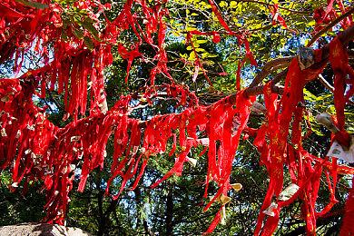 B站发行游戏《逃离鸭科夫》Steam特别好评 在线人数超3万